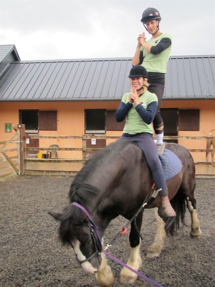 Eclipse Holiday Homes & Adventure Centre Kenmare Ngoại thất bức ảnh