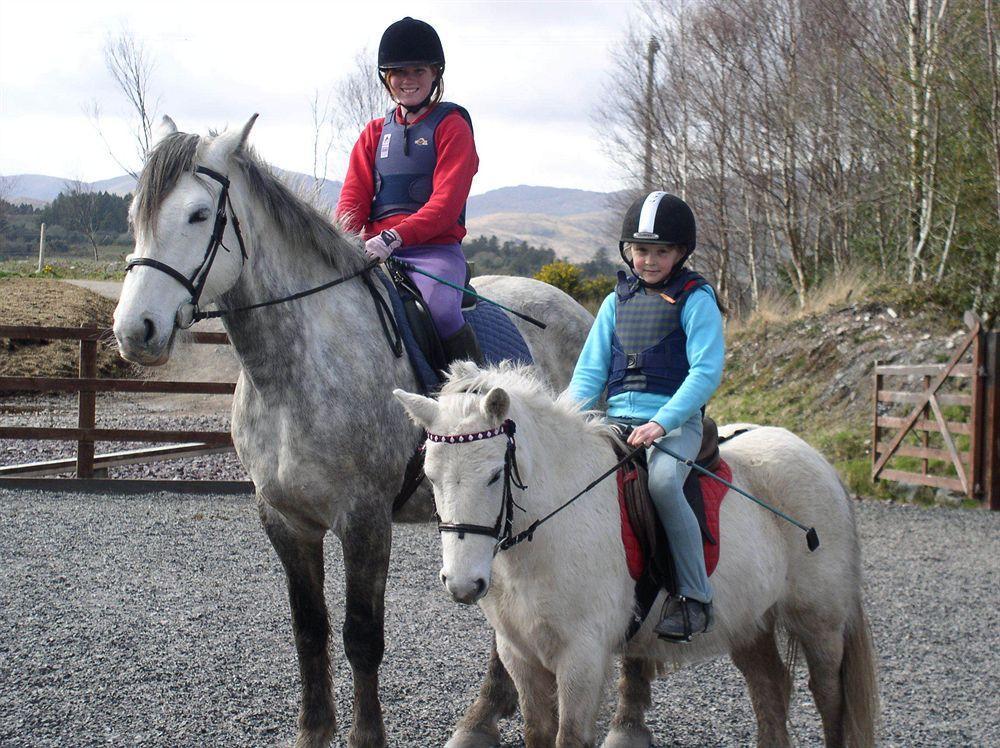 Eclipse Holiday Homes & Adventure Centre Kenmare Ngoại thất bức ảnh