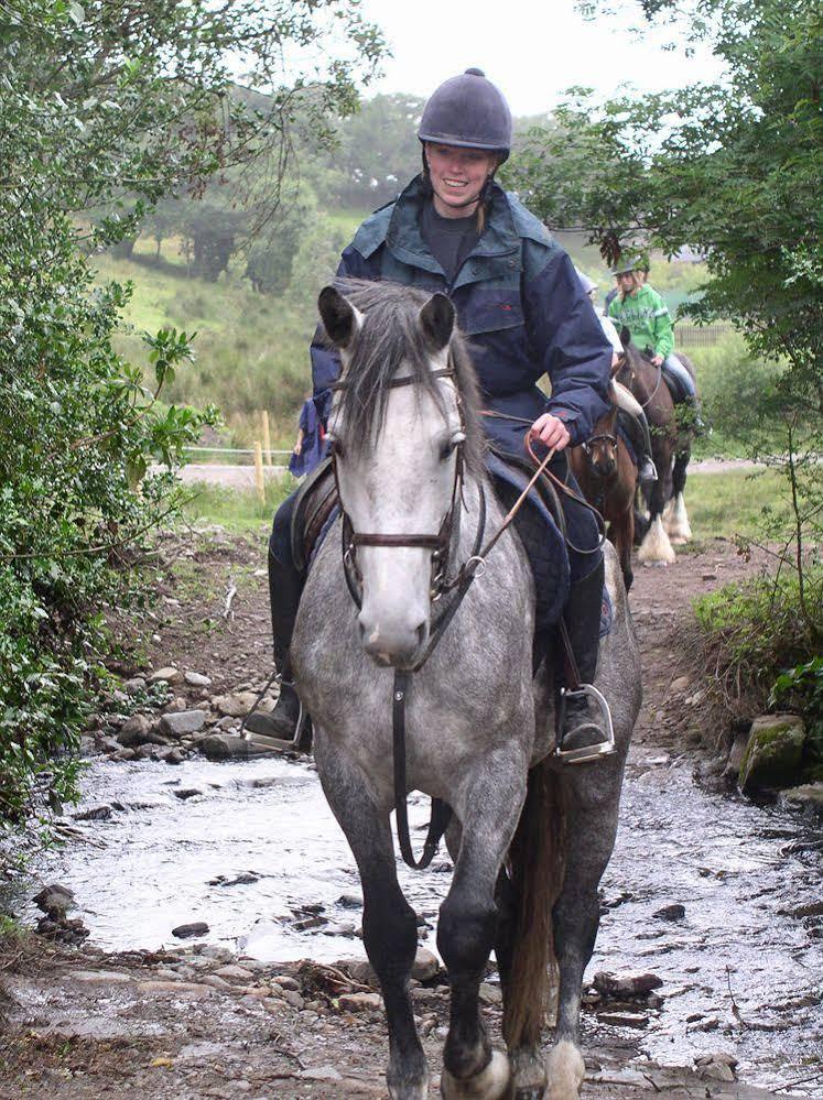 Eclipse Holiday Homes & Adventure Centre Kenmare Ngoại thất bức ảnh