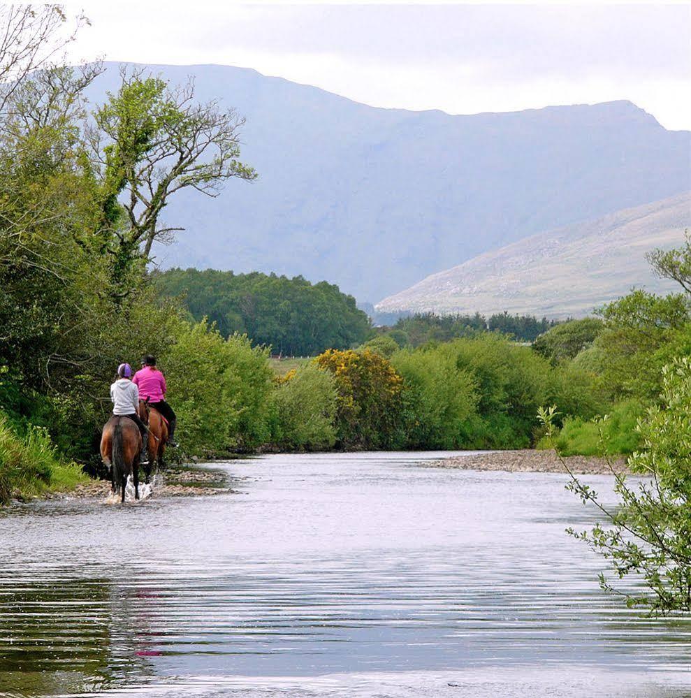 Eclipse Holiday Homes & Adventure Centre Kenmare Ngoại thất bức ảnh
